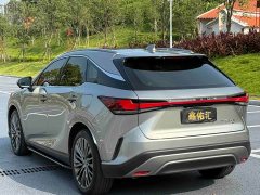 Lexus RX 2025 350h AWD Premium Edition - ფოტო 9