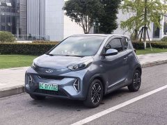 Chery Ant 251km True Love Edition LFP Battery - ფოტო 1