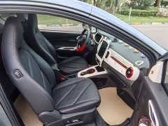 Chery Ant 251km True Love Edition LFP Battery - ფოტო 10