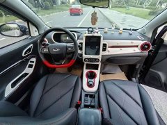 Chery Ant 251km True Love Edition LFP Battery - ფოტო 13