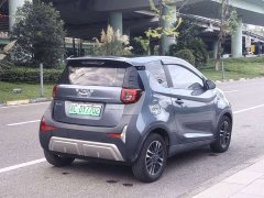Chery Ant 251km True Love Edition LFP Battery - ფოტო 4