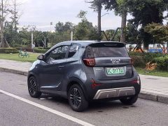 Chery Ant 251km True Love Edition LFP Battery - ფოტო 6