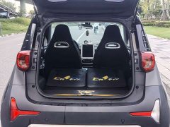 Chery Ant 251km True Love Edition LFP Battery - ფოტო 8