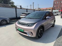BYD Dolphin 405km Fashion Edition - ფოტო 1