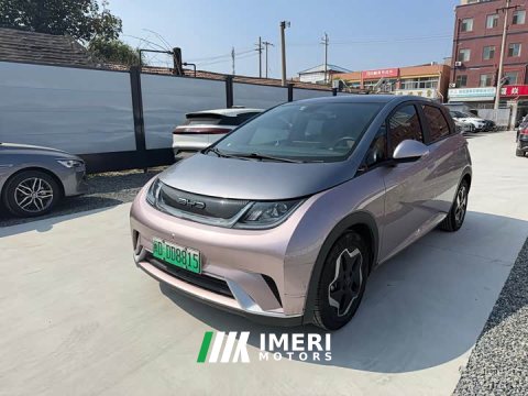 2022 BYD Dolphin 405km Fashion Edition - ავტომობილი ჩინეთიდან