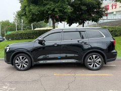 Ford Lingrui New Energy Elite Edition - ფოტო 3