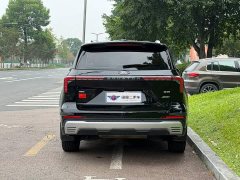 Ford Lingrui New Energy Elite Edition - ფოტო 5