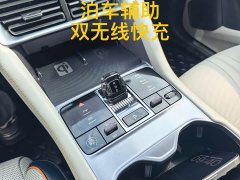 BYD Song Plus New Energy Champion Edition DM-i 150KM Flagship Plus 5G - ფოტო 10