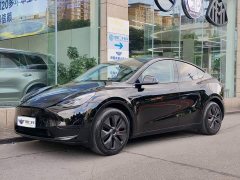 Tesla Model Y 2023 Rear-Wheel Drive - ფოტო 1
