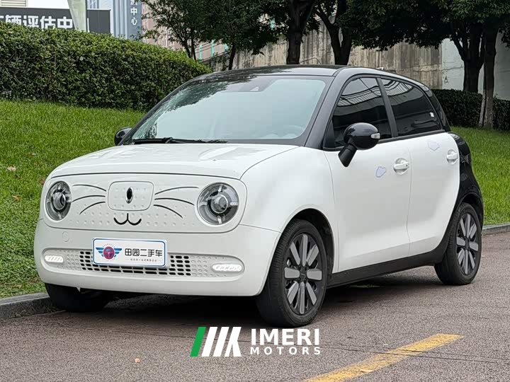 ORA Black Cat 351km Luxury - ავტომობილი ჩინეთიდან