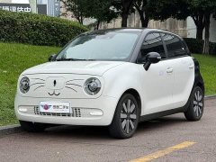 ORA Black Cat 351km Luxury - ფოტო 1