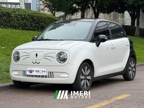 2021 ORA Black Cat 351km Luxury - ავტომობილი ჩინეთიდან