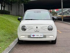 ORA Black Cat 351km Luxury - ფოტო 2