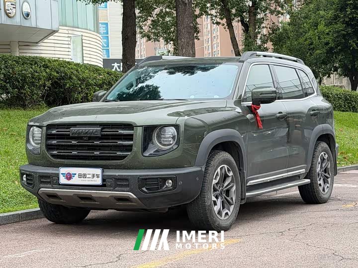 Great Wall Dachshund 2.0T DCT Four-Wheel Drive Howling Celestial Dog Edition - ავტომობილი ჩინეთიდან