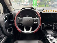 Great Wall Dachshund 2.0T DCT Four-Wheel Drive Howling Celestial Dog Edition - ფოტო 14
