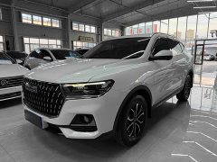 Haval H6 National Trend Edition 1.5T Automatic Urban Version - ფოტო 1