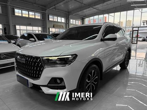 2023 Haval H6 National Trend Edition 1.5T Automatic Urban Version - ავტომობილი ჩინეთიდან