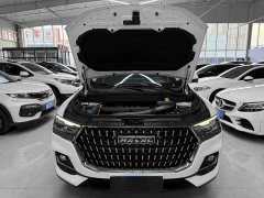 Haval H6 National Trend Edition 1.5T Automatic Urban Version - ფოტო 20