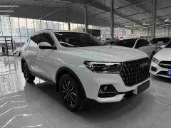 Haval H6 National Trend Edition 1.5T Automatic Urban Version - ფოტო 3