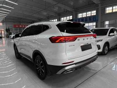 Haval H6 National Trend Edition 1.5T Automatic Urban Version - ფოტო 6
