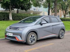BYD Dolphin 405km Freedom Edition - ფოტო 1