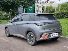 BYD Dolphin 405km Freedom Edition - ფოტო 4