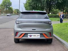 BYD Dolphin 405km Freedom Edition - ფოტო 5