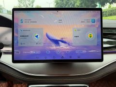 BYD Yuan Plus DM-i 2023 Champion Edition 112KM Deluxe - ფოტო 10