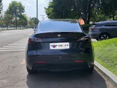 Tesla Model Y Rear-Wheel Drive - ფოტო 5
