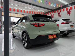Geely Starwish 410km Freedom Edition - ფოტო 6