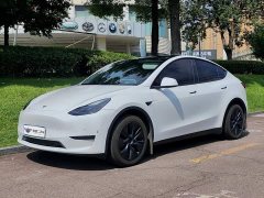Tesla Model Y Rear-Wheel Drive - ფოტო 1