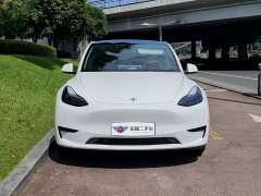 Tesla Model Y Rear-Wheel Drive - ფოტო 2