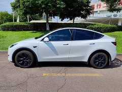 Tesla Model Y Rear-Wheel Drive - ფოტო 3