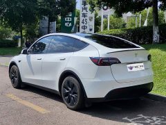 Tesla Model Y Rear-Wheel Drive - ფოტო 4