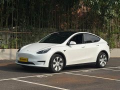 Tesla Model Y Long Range All-Wheel Drive - ფოტო 1