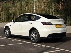 Tesla Model Y Long Range All-Wheel Drive - ფოტო 10