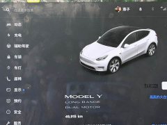 Tesla Model Y Long Range All-Wheel Drive - ფოტო 12