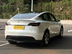 Tesla Model Y Long Range All-Wheel Drive - ფოტო 14