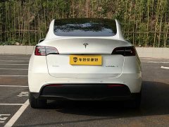 Tesla Model Y Long Range All-Wheel Drive - ფოტო 15
