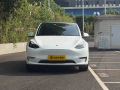 Tesla Model Y Long Range All-Wheel Drive - ფოტო 2