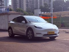 Tesla Model Y Long Range All-Wheel Drive - ფოტო 3