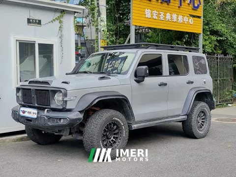 2021 Tank 300 Off-Road Edition 2.0T Conqueror - ავტომობილი ჩინეთიდან