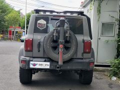 Tank 300 Off-Road Edition 2.0T Conqueror - ფოტო 5