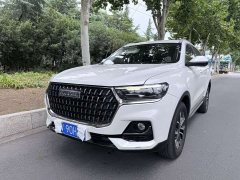 Haval H6 National Trend Edition 1.5T Automatic Champion Version - ფოტო 1