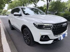 Haval H6 National Trend Edition 1.5T Automatic Champion Version - ფოტო 4
