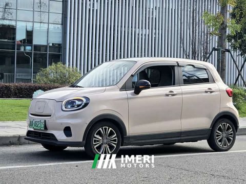 2022 Leapmotor Leapo T03 2021 400 Luxury Pro - ავტომობილი ჩინეთიდან