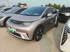 BYD Dolphin 2025 420km Fashion Edition - ფოტო 1