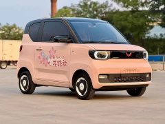 Wuling Hongguang MINIEV Macaron Fashion Edition LFP Battery - ფოტო 3