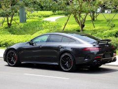 Mercedes-Benz AMG GT AMG GT 50 Four-Door Coupe China Special Edition - ფოტო 15