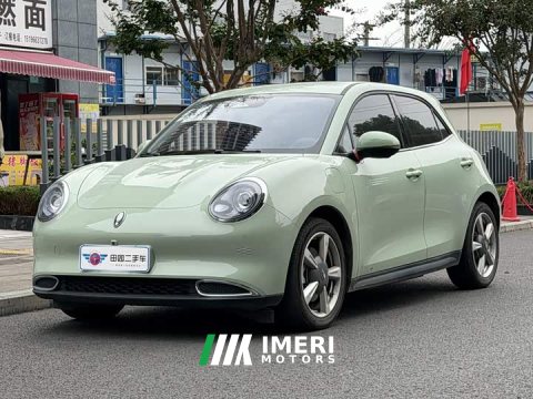 2023 ORA Good Cat 401km Standard Range Deluxe Edition LFP Battery - ავტომობილი ჩინეთიდან